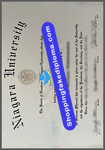 Niagara University fake degree, fake diploma certificate